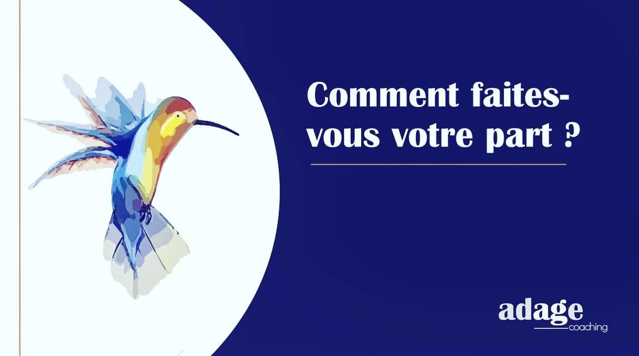 Métaphore du colibri – faire sa part