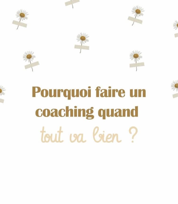 Pourquoi faire un coaching quand tout va bien – illustration Adage